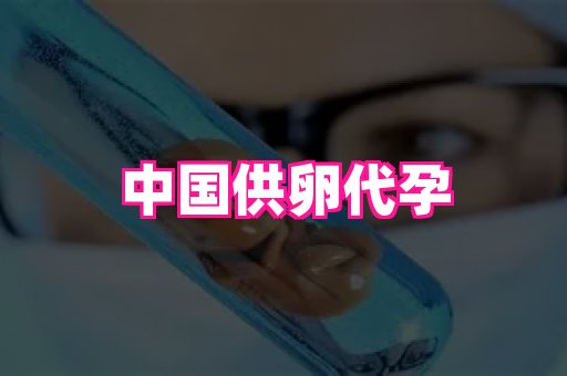 无锡助孕网 3